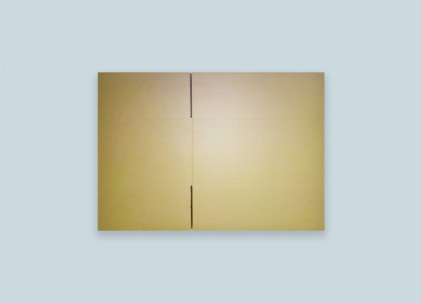 RSC Corrugated Box Top View Unfolded