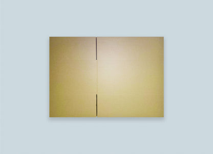 RSC Corrugated Box Top View Unfolded