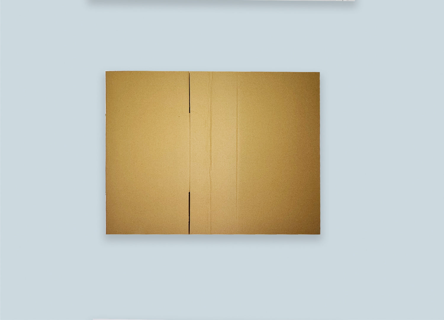 RSC Corrugated Box Top View Unfolded