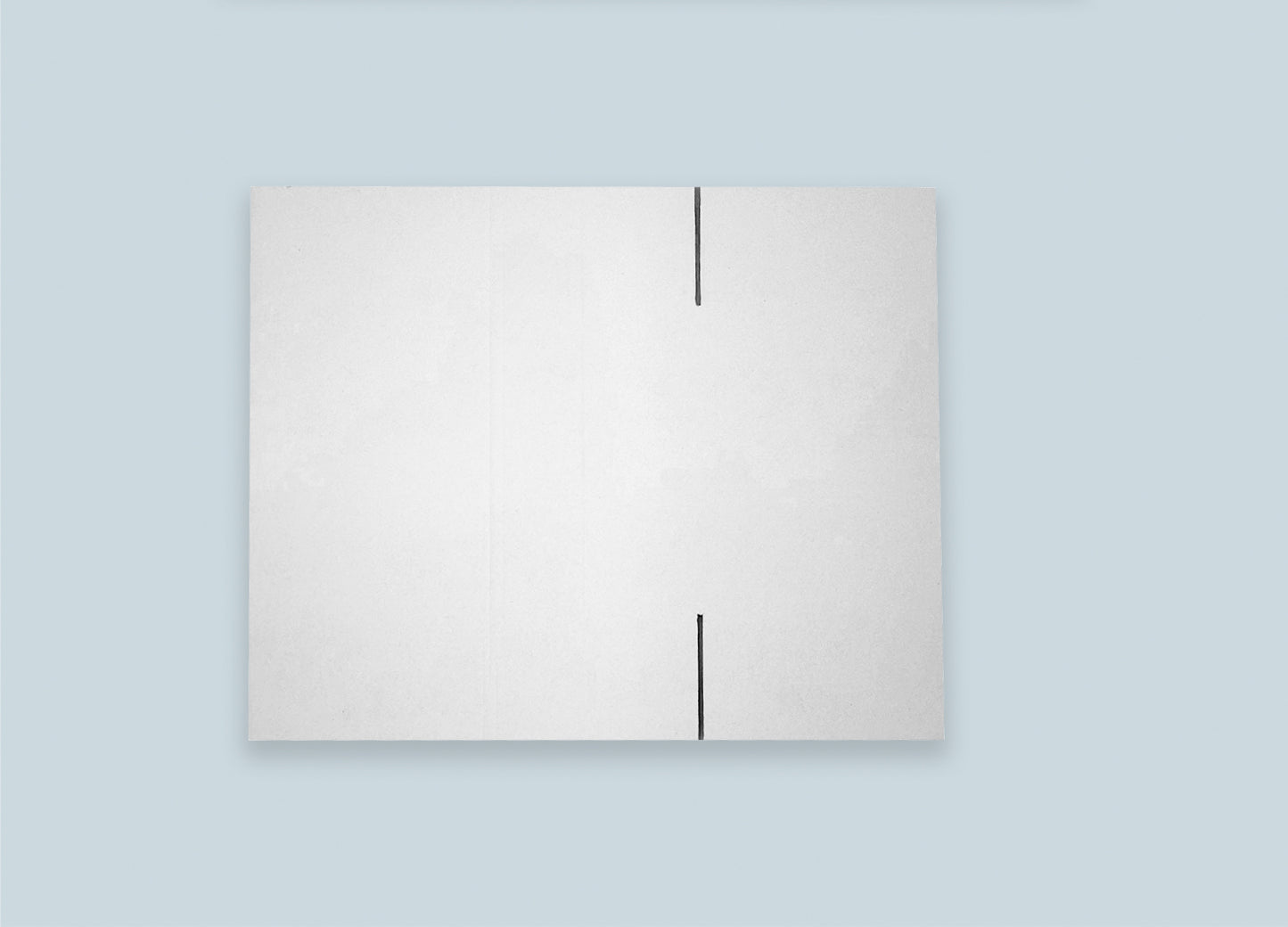 RSC Corrugated White Box Top View Unfolded