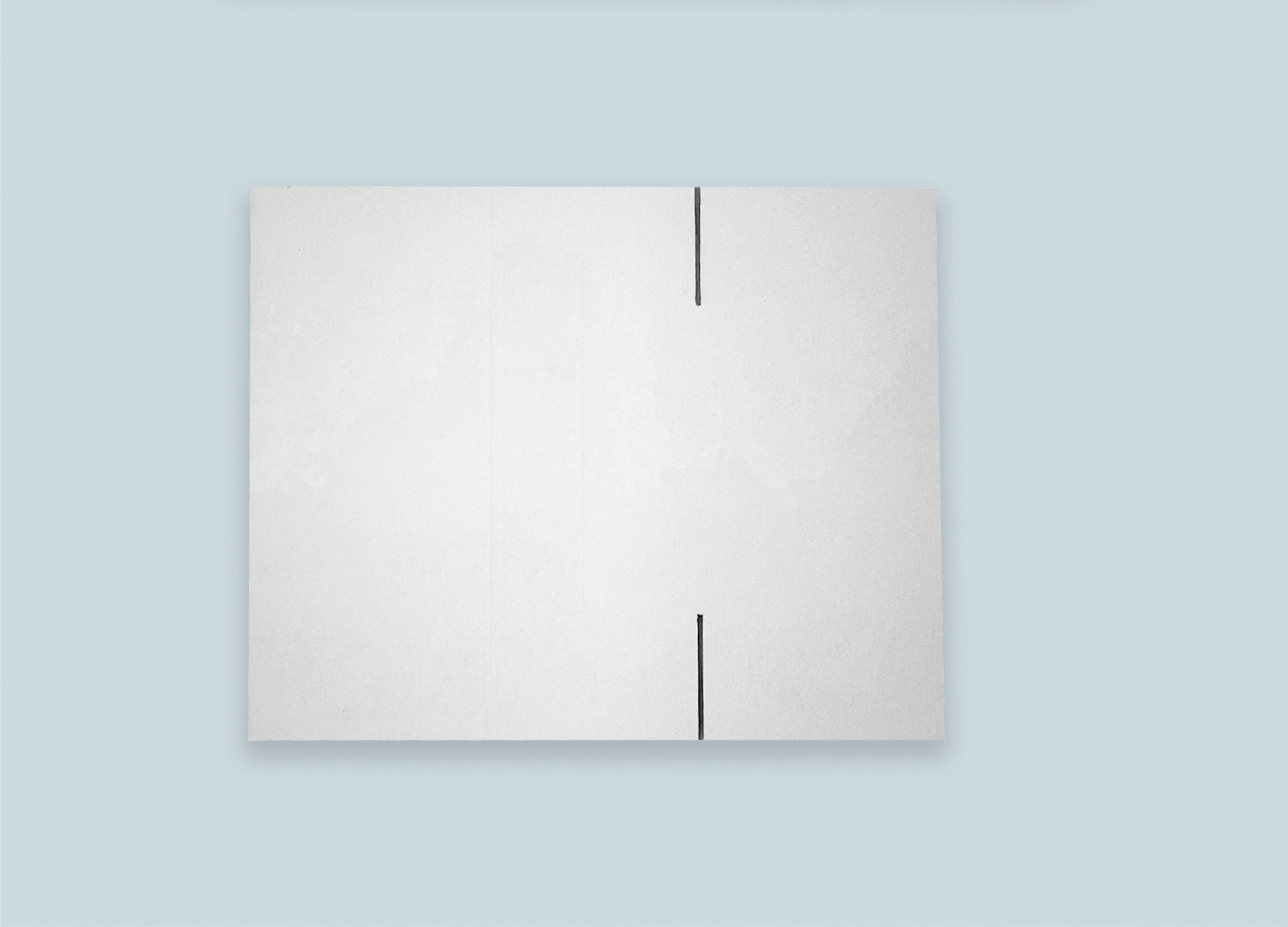 RSC Corrugated White Box Top View Unfolded
